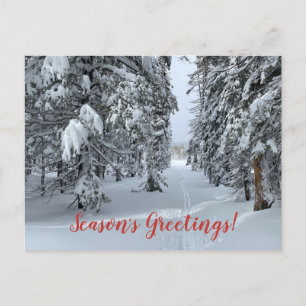 Die Grüße der Saison von Tahoe! Postkarte