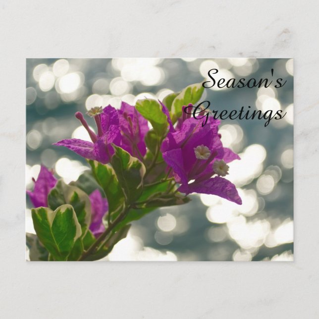 Die Grüße Frühlingsblumen Bokeh Postkarte (Vorderseite)