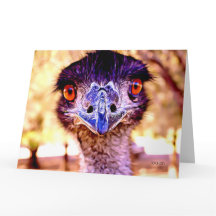 Die Grußkarte der Emu-Riesenkunst