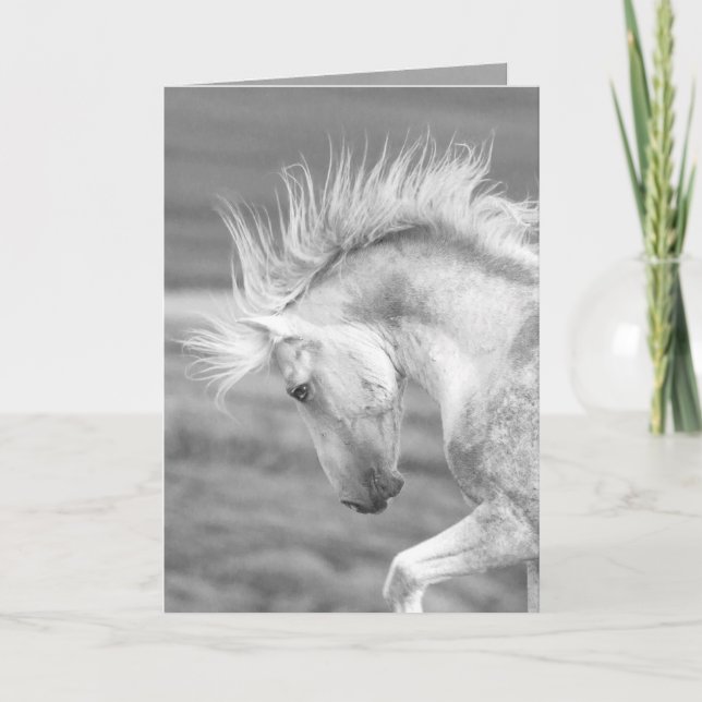 Die Grußkarte für das wilde Pferd der Cloud Karte (Vorderseite)