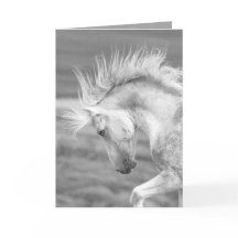 Die Grußkarte für das wilde Pferd der Cloud