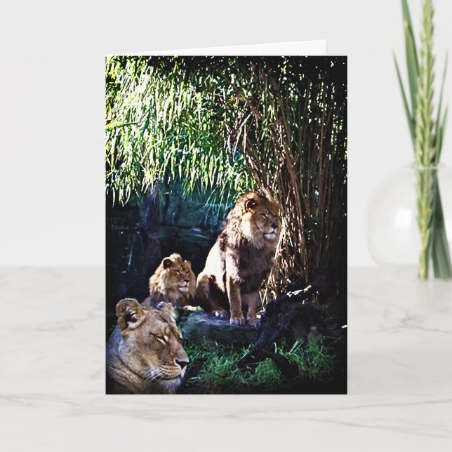 Die Grusskarte für den Stolz Karte (Vorderseite)