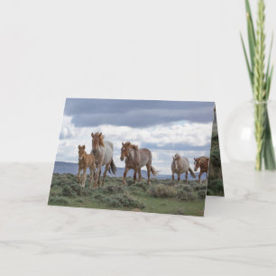 Die Grußkarte 'The Wild Roan Family Runs' Einladung