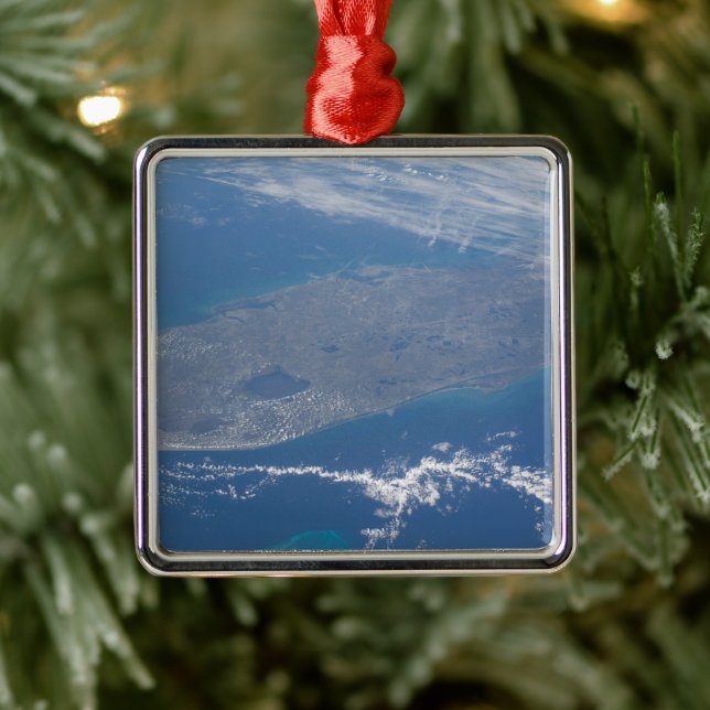 Die Halbinsel Florida. Ornament Aus Metall (Baum)