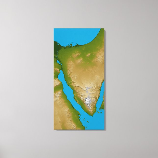 Die Halbinsel Sinai Leinwanddruck (Vorderseite)