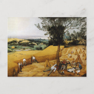 Die Harvester von Pieter Bruegel, der Ältere 1565 Postkarte