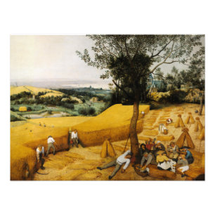 Die Harvester von Pieter Bruegel der Ältere Fotodruck