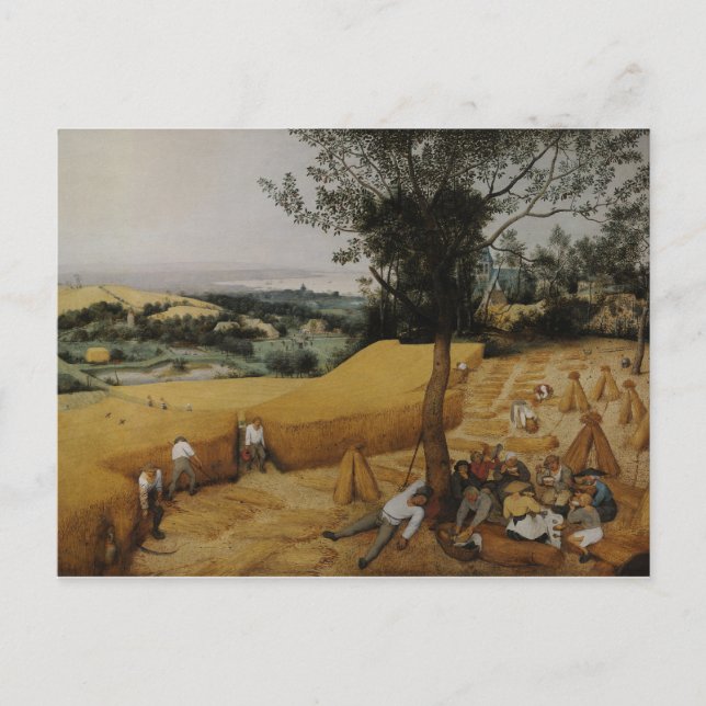 Die Harvester von Pieter Bruegel der Ältere Postkarte (Vorderseite)