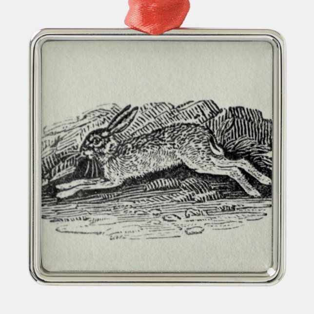 Die Hasen Ornament Aus Metall (Vorne)