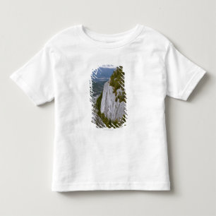 Die "Haupt" Arial Ansicht in Squamish Kleinkind T-shirt