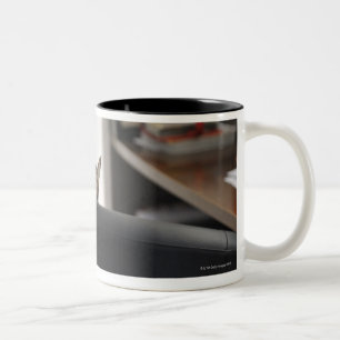 Die Hauptvertretung der Katze eines Bürostuhls, i Zweifarbige Tasse