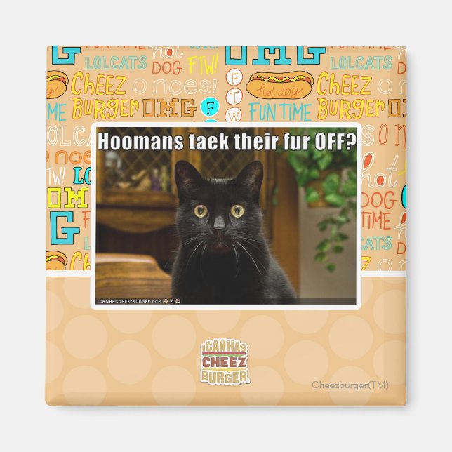 Die Häuser verziehen sich. Magnet (Vorne)