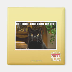 Die Häuser verziehen sich. Magnet