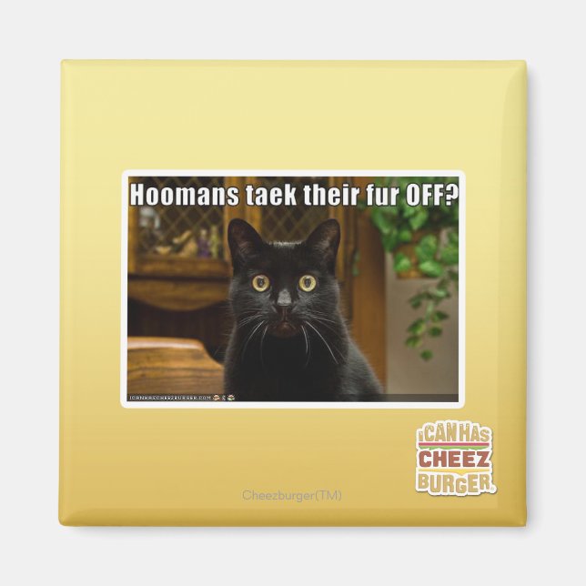 Die Häuser verziehen sich. Magnet (Vorne)