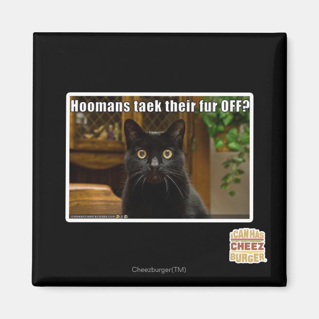 Die Häuser verziehen sich. Magnet (Vorne)