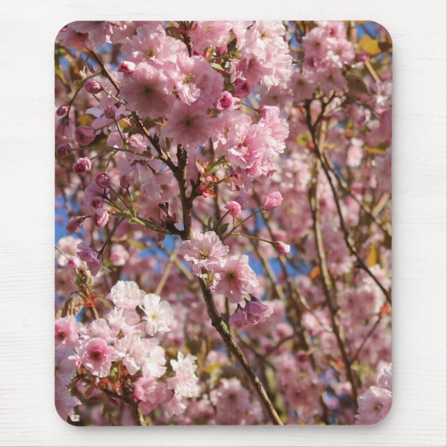 Die helle Frühlingsfarbe der Kirschblüte Mousepad (Vorne)