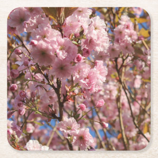 Die helle Frühlingsfarbe der Kirschblüte Rechteckiger Pappuntersetzer