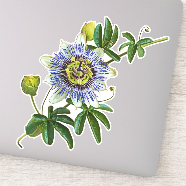Die Herb-Passionblume | Vinyl Sticker (Detail)