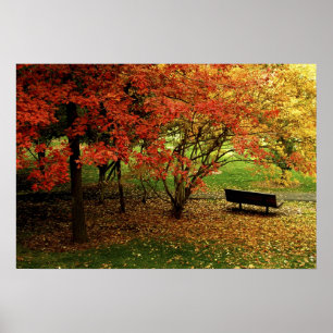 Die Herbstbank Poster