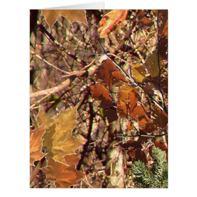 Die Herbstfarben von Jägern in Camouflage (Vorderseite)