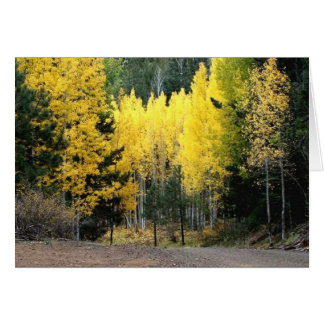 Die Herbstfarben waren groß