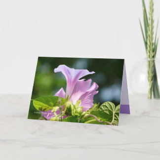 Die Herrlichkeit des Morgens 2 Karte