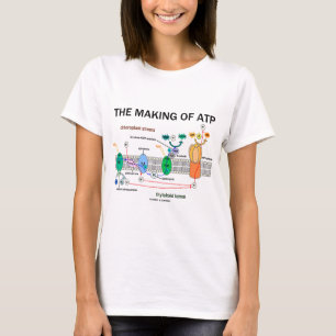 Die Herstellung von Atp (fotosynthetische Haltung) T-Shirt