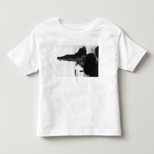 Die Herzogin Rock in Newport, Oregon Kleinkind T-shirt (Vorderseite)