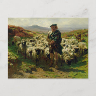 Die Highland Shepherd von Rosa Bonheur Postkarte