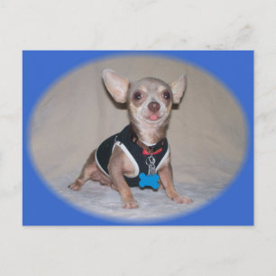 Die Himbeeransicht Postkarte