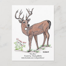 " Die Hirsche " Postkarte