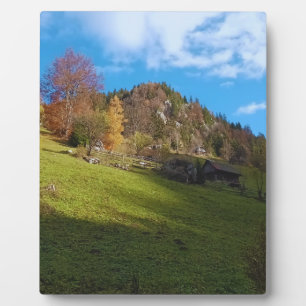 Die hohe Wiese - Wilde Natur Rumänien Fotoplatte