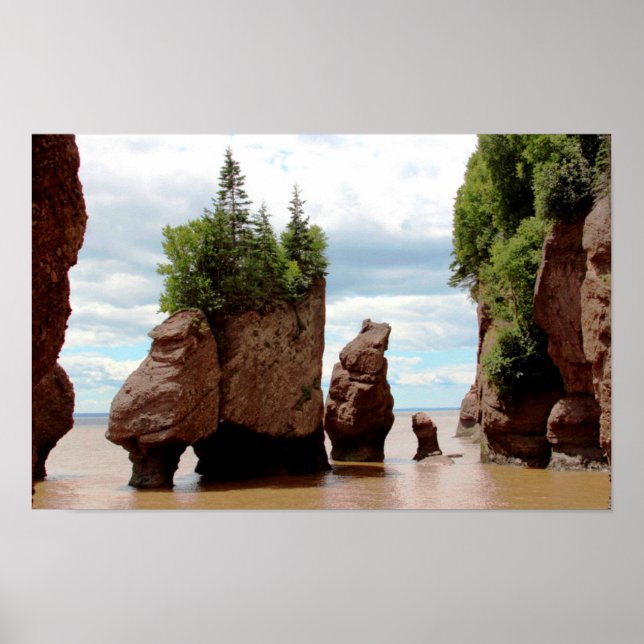 Die Hopewell Rocks Kanada Poster (Vorne)