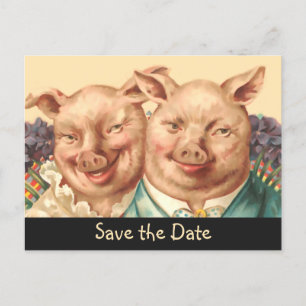 Die hübschen Schwein-Paare Save the Date Ankündigungspostkarte