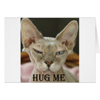 Die Hug-Me-Katze