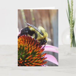 Die Hummel Karte