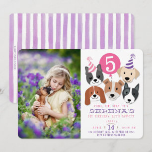 Die Hunde des Mädchens und der rosa Einladung