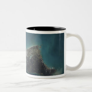 Die Insel der Bahamas-Andros Zweifarbige Tasse