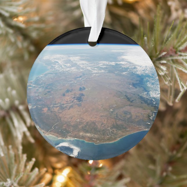 Die Insel Madagaskar. Ornament (Baum)