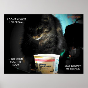 Die interessanteste Katze der Welt Poster