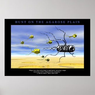 Die Jagd auf die Agarose Schlicht Poster