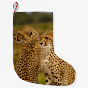DIE JAGD KLEINER WEIHNACHTSSTRUMPF