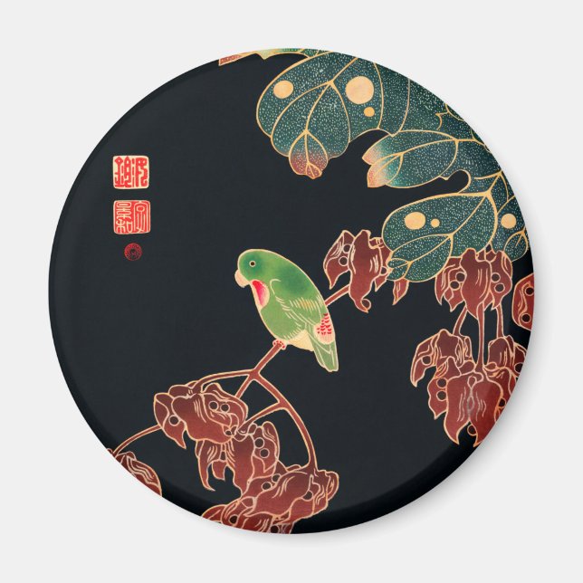 Die japanische Abbildung des Paroquet-Buntbarts Magnet (Vorne)