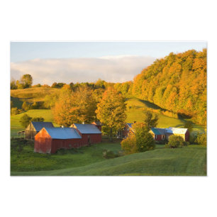 Die Jenne Farm in Woodstock, Vermont. Herbst. 2 Fotodruck