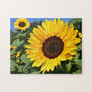 Die Jigsaw-Puzzle-Fabrik Songbirds Sonnenblume, Fl