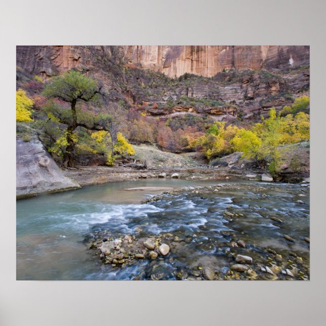 Die Jungfrau im Herbst im Zion-Nationalpark Poster (Vorne)