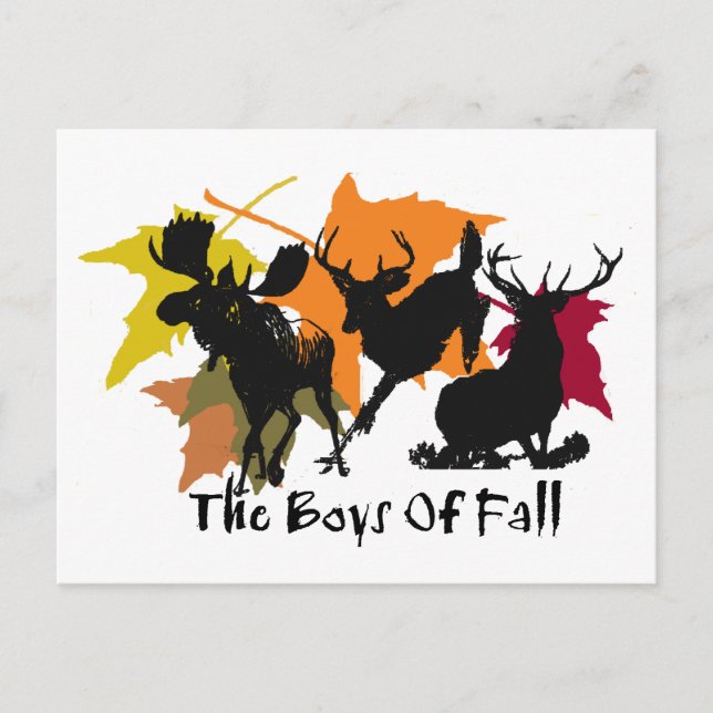 Die Jungs des Falles Postkarte (Vorderseite)