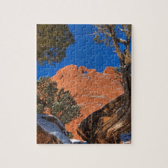 Die Kamele küssen gerahmt durch Baum 01 (Vertikal)