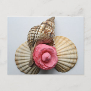 Die Kamelien und die Muscheln Postkarte