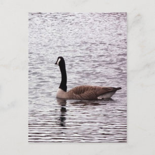 Die kanadische Postkarte
